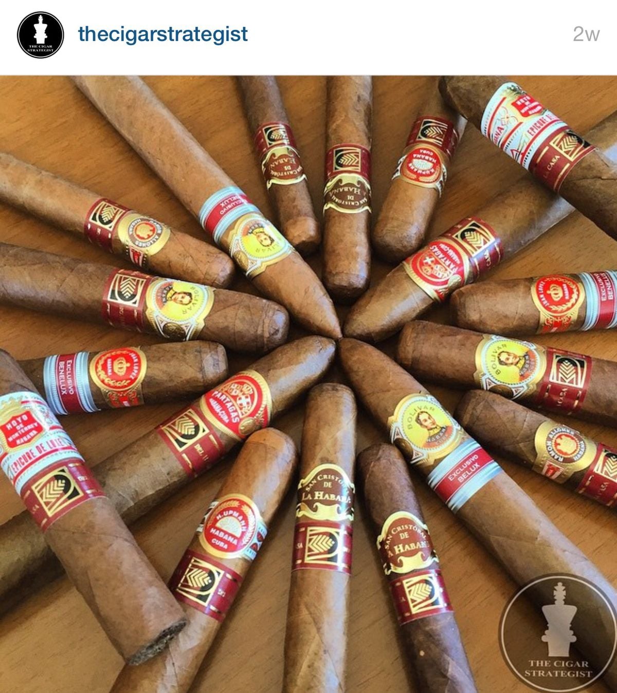 Corojo No.5 - Cigars - Premium quality